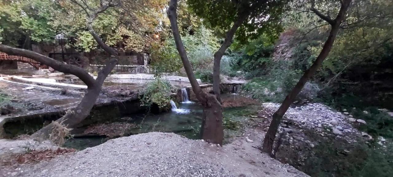 Maria Tsomou Villa Theologos  Luaran gambar